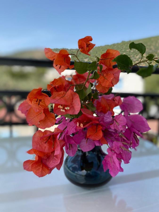 Appart hôtel Merve Apartments, Your From In Bodrum, Street Cats Frequent The Property, Not Have Balconies , Ground Floor Have Terrace With Table And Chairs