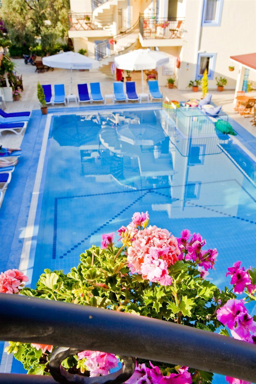 Appart hôtel Merve Apartments, Your From In Bodrum, Street Cats Frequent The Property, Not Have Balconies , Ground Floor Have Terrace With Table And Chairs
