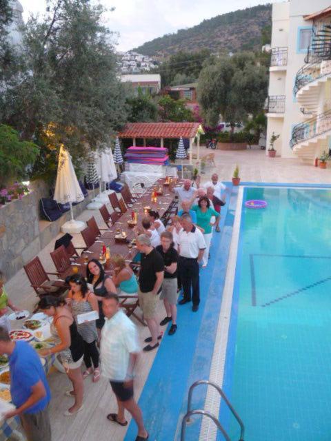 Appart hôtel Merve Apartments, Your From In Bodrum, Street Cats Frequent The Property, Not Have Balconies , Ground Floor Have Terrace With Table And Chairs Bodrum